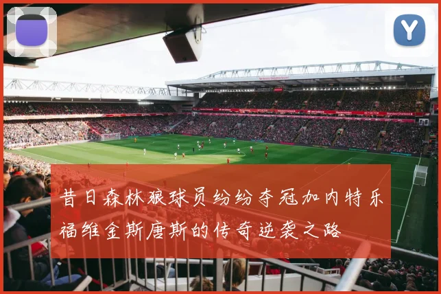 昔日森林狼球员纷纷夺冠加内特乐福维金斯唐斯的传奇逆袭之路