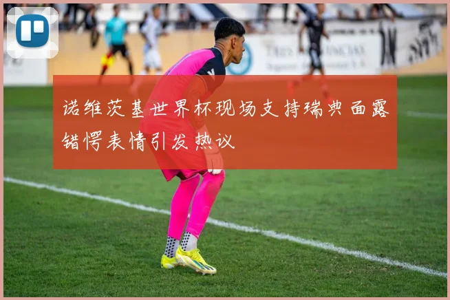 诺维茨基世界杯现场支持瑞典面露错愕表情引发热议